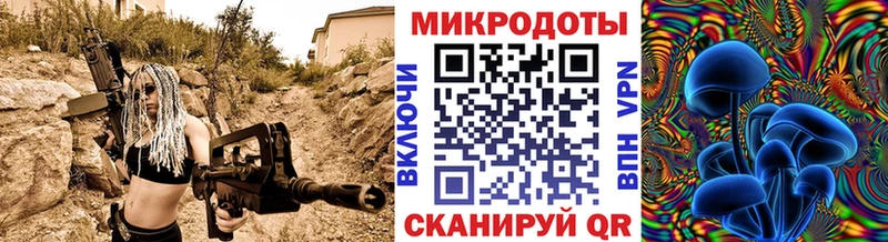 цены   Советск  Псилоцибиновые грибы мицелий 